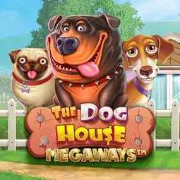 The Dog House Megaways gra w Coolzino Casino dla graczy z Polski
