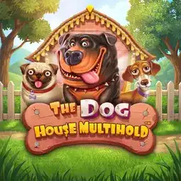 The Dog House Multihold gra w Coolzino Casino dla graczy z Polski