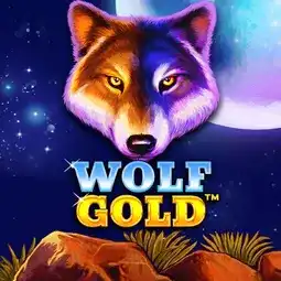 Wolf Gold gra w Coolzino Casino dla graczy z Polski